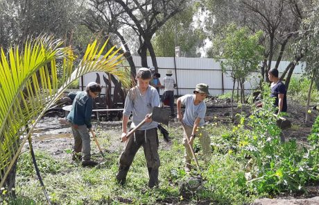 לקראת יום הזיכרון: תלמידי “רוח הגולן” שיפצו אנדרטאות ברמת הגולן