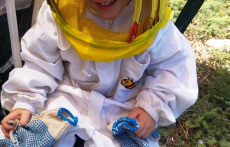 דבורים כחול-לבן: יום העצמאות לכל המשפחה במכוורות ישראל