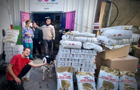 מאות מארזי מזון לכלבים נתרמו ל’צער בעלי חיים’ בעקבות גל נטישות וירידה באימוצים