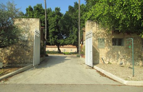 פרויקט לוגי’קל BI בקרן רש”י: הכנסת טכנולוגיות עסקיות מתקדמות לעולם החברתי