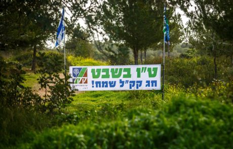 לרגל ט”ו בשבט: למעלה מחצי מיליון שתילים ינטעו השנה על ידי קק”ל, כ-300,000 במרחב העירוני